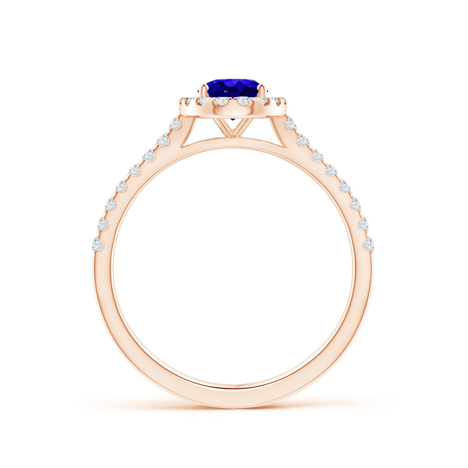 7x5mm AAAA Oval Tanzanite Halo Ring with Diamond Accents in Rose Gold side-1