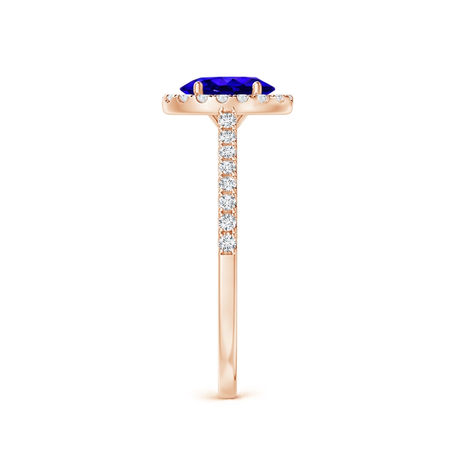 7x5mm AAAA Oval Tanzanite Halo Ring with Diamond Accents in Rose Gold side-2