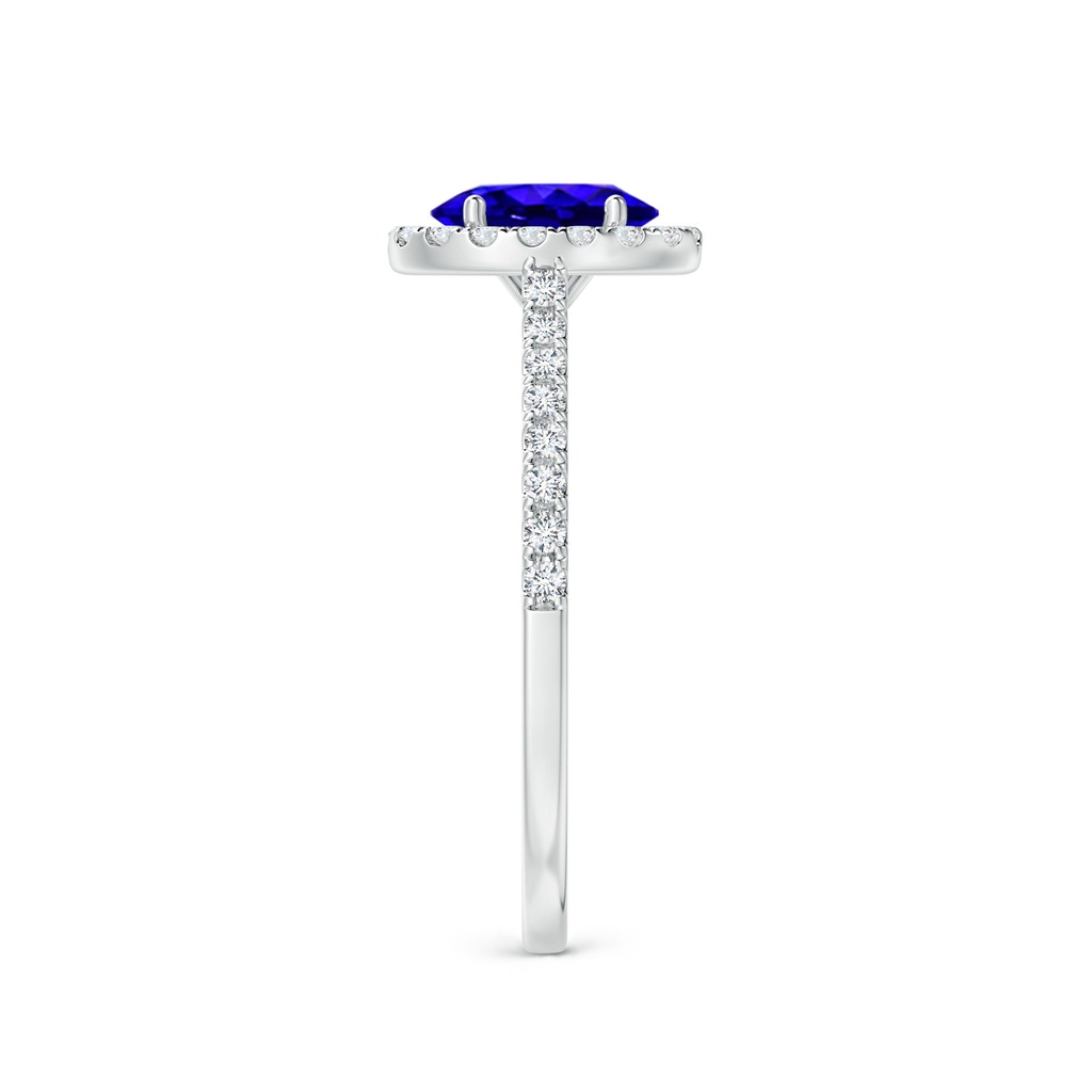 7x5mm AAAA Oval Tanzanite Halo Ring with Diamond Accents in White Gold Side-2