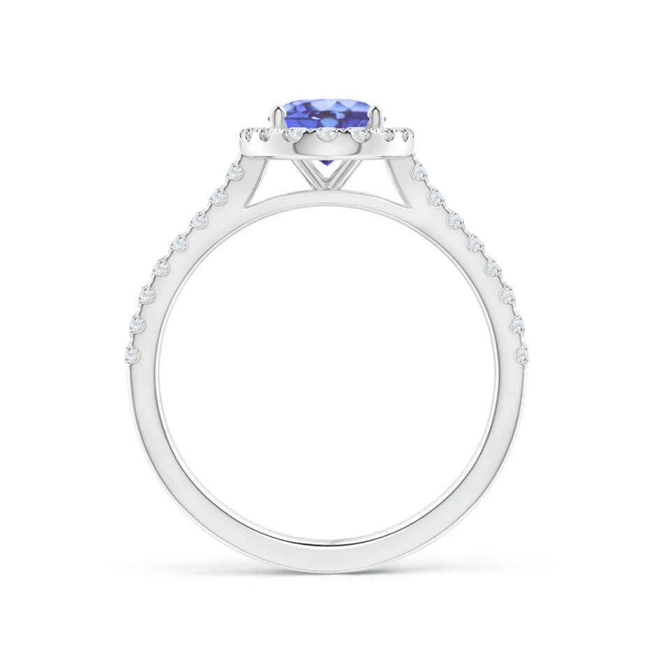 8x6mm A Oval Tanzanite Halo Ring with Diamond Accents in P950 Platinum side-1