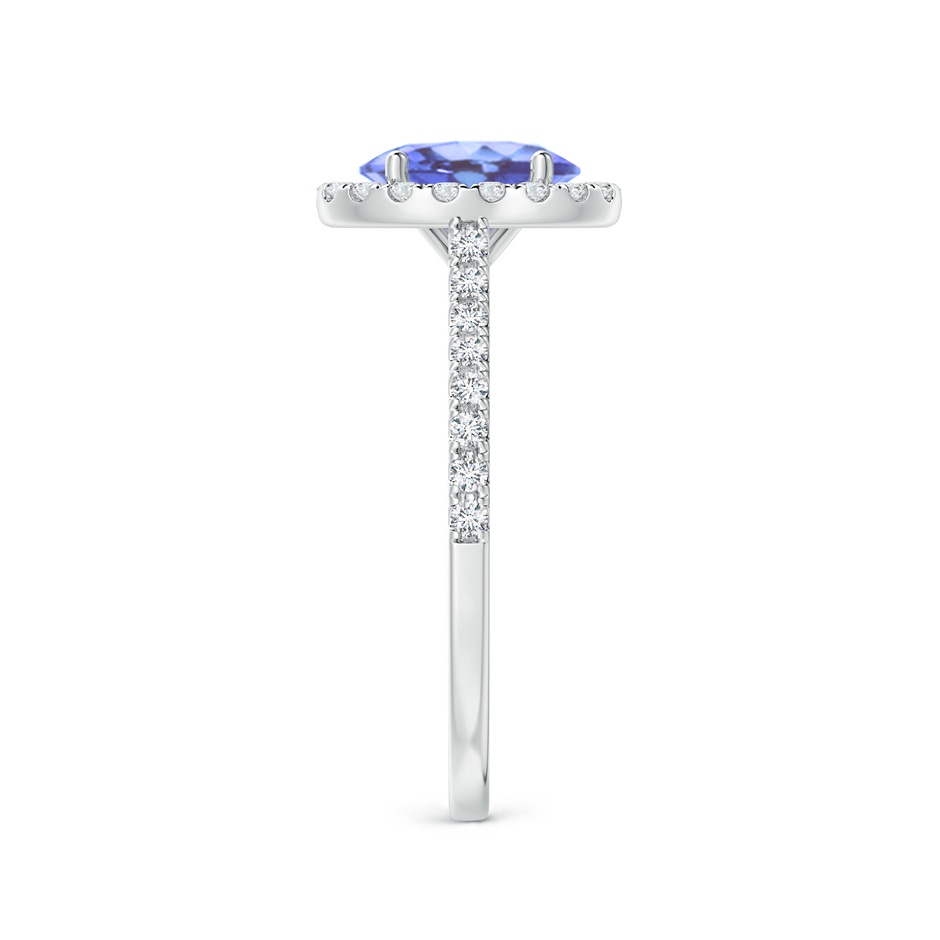 8x6mm A Oval Tanzanite Halo Ring with Diamond Accents in P950 Platinum side-2