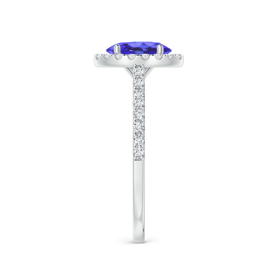 8x6mm AA Oval Tanzanite Halo Ring with Diamond Accents in White Gold side-2