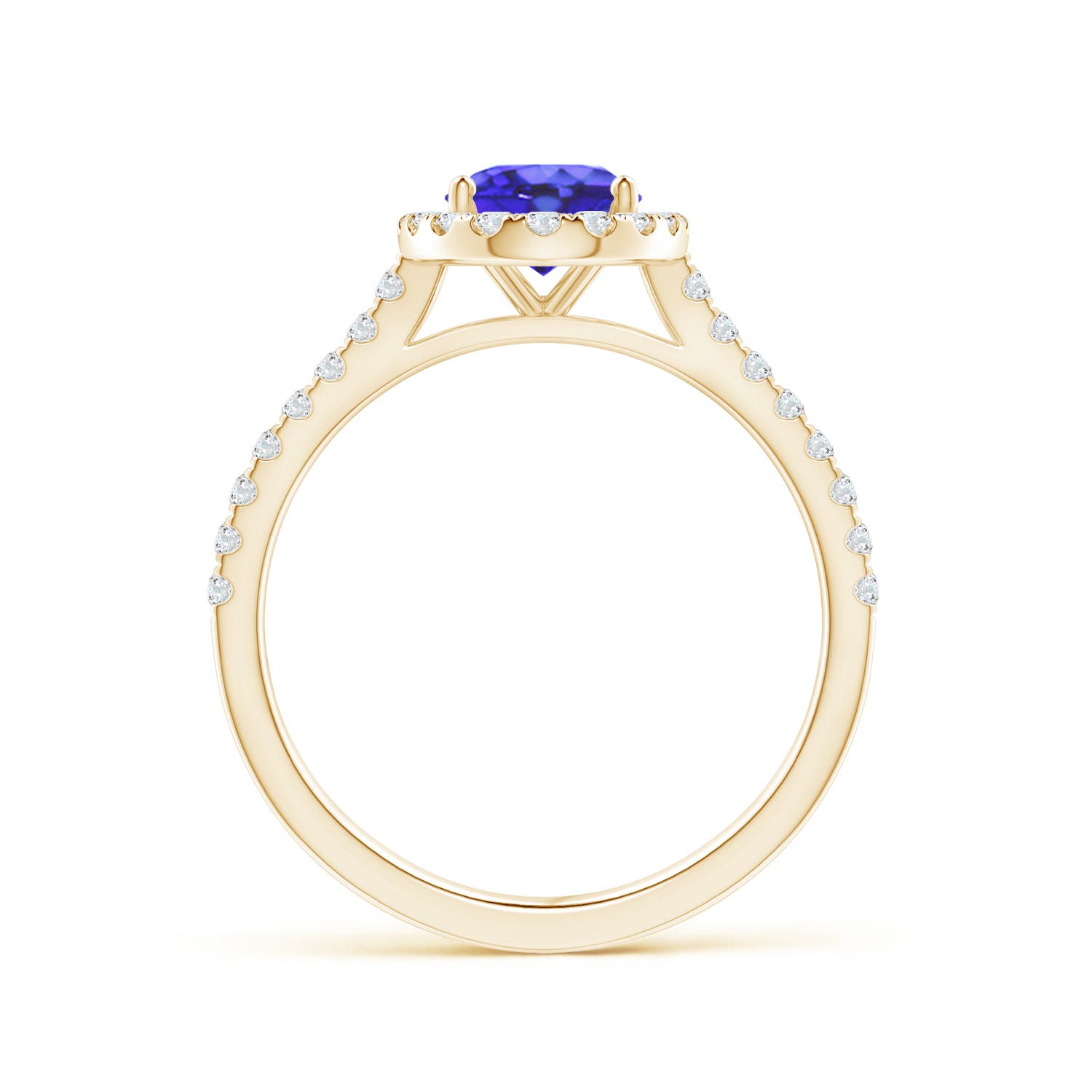 AA - Tanzanite / 1.59 CT / 14 KT Yellow Gold