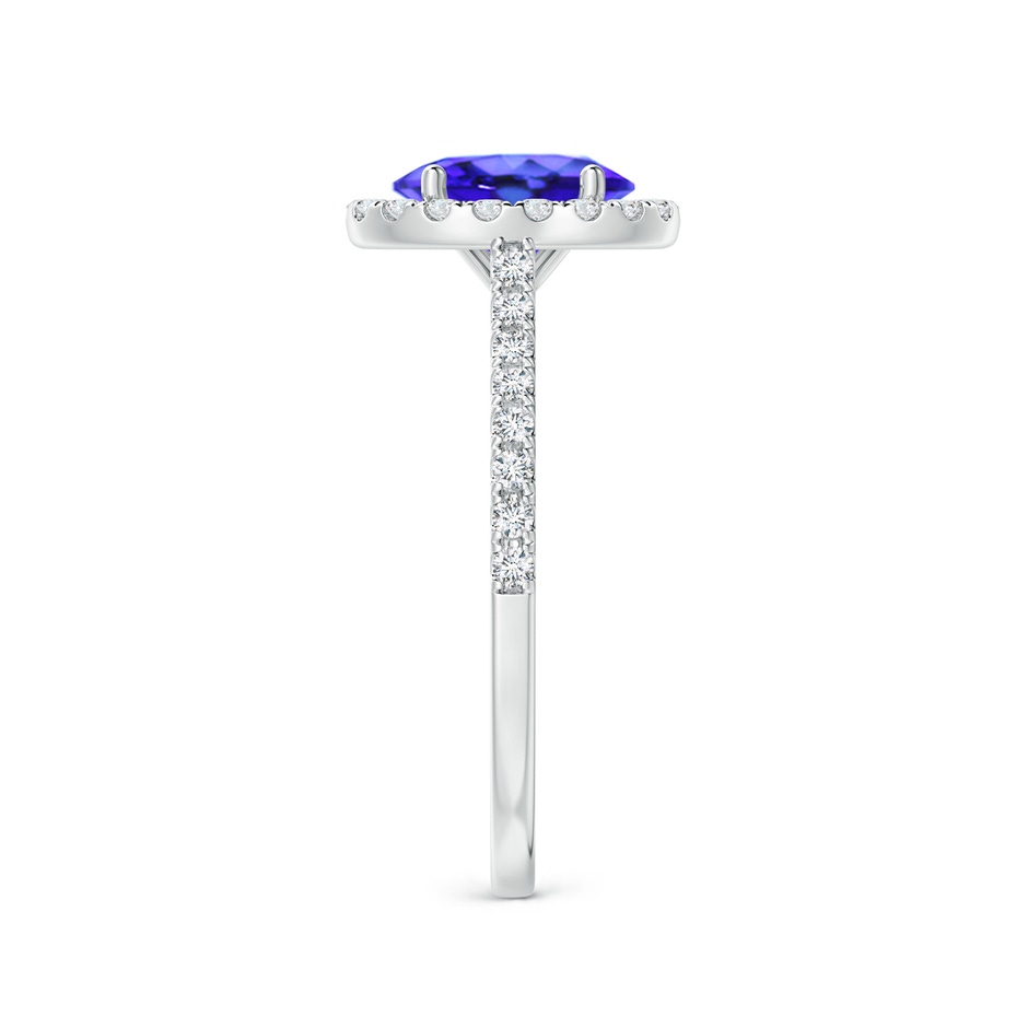 8x6mm AAA Oval Tanzanite Halo Ring with Diamond Accents in P950 Platinum side-2