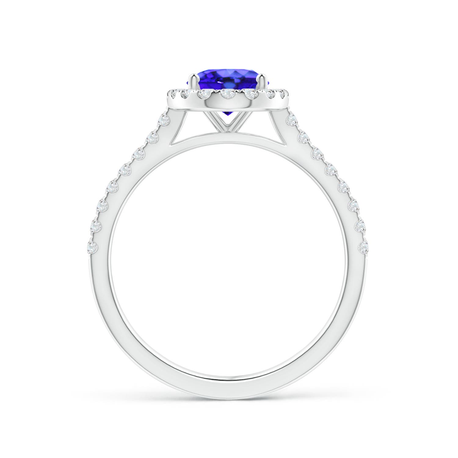 AAA - Tanzanite / 1.59 CT / 14 KT White Gold