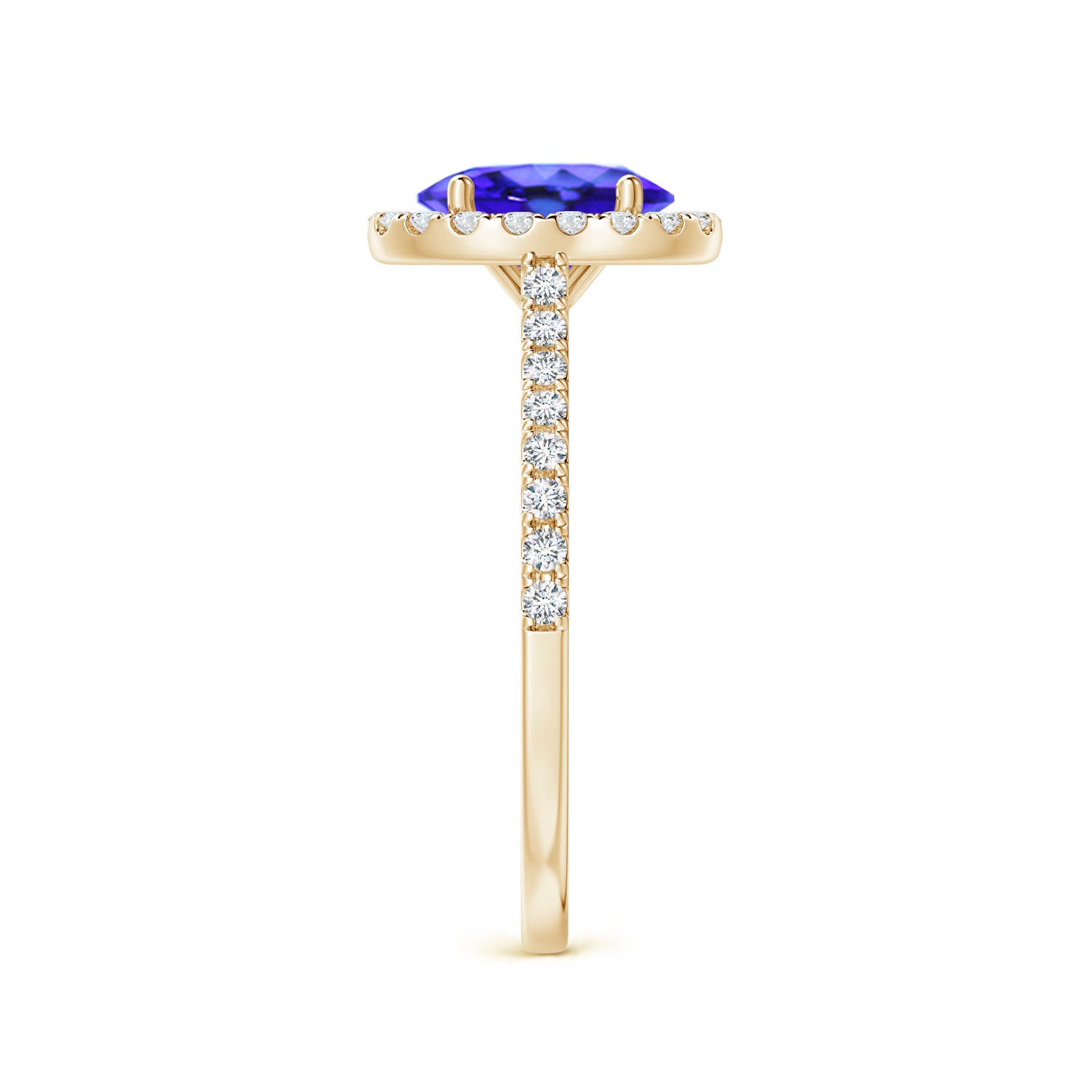 AAA - Tanzanite / 1.59 CT / 14 KT Yellow Gold