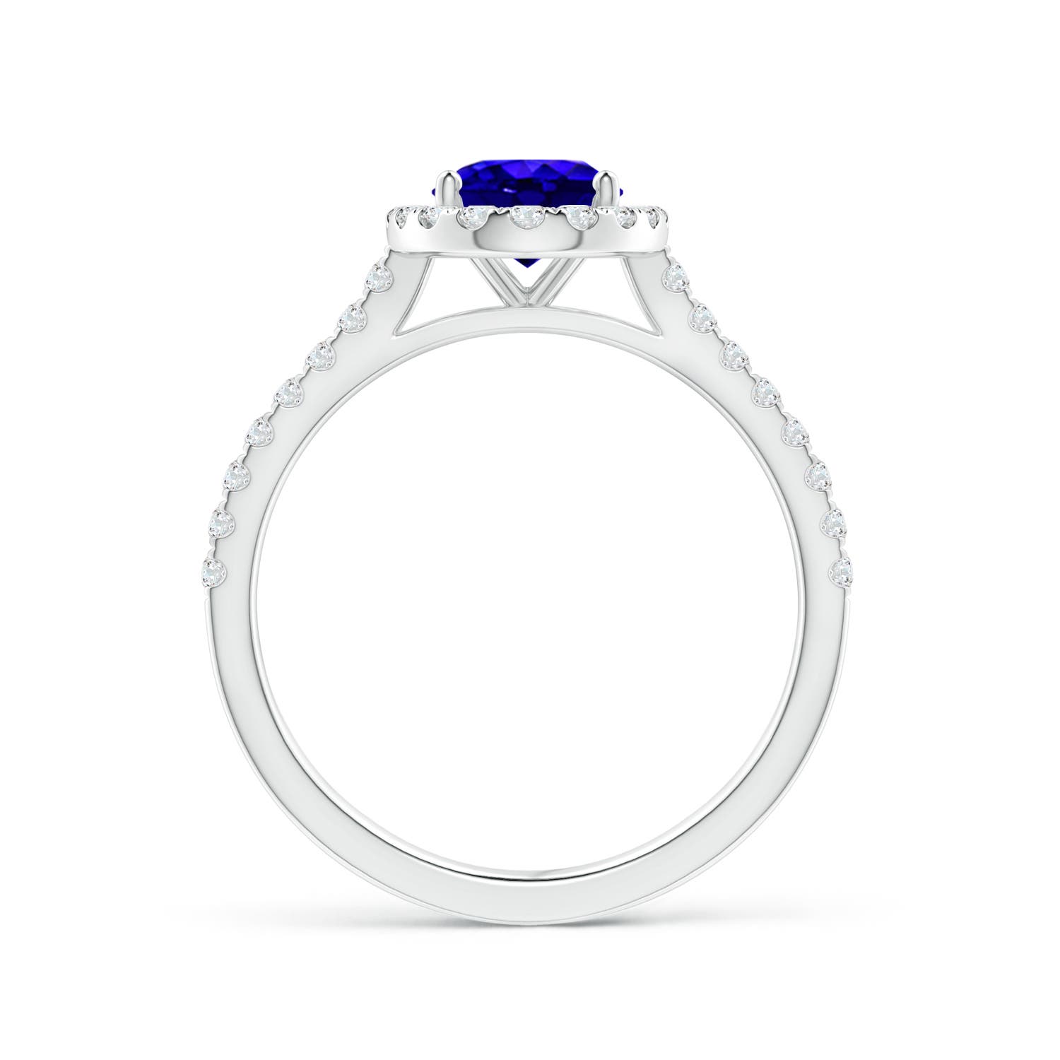 AAAA - Tanzanite / 1.59 CT / 14 KT White Gold