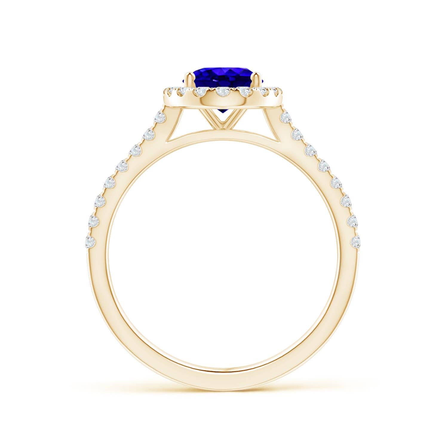 AAAA - Tanzanite / 1.59 CT / 14 KT Yellow Gold