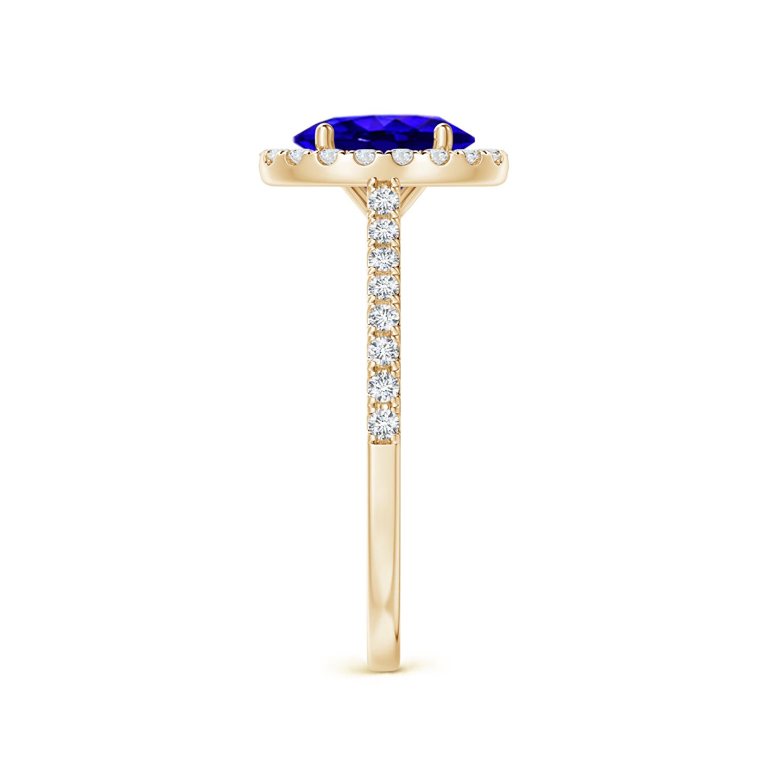 AAAA - Tanzanite / 1.59 CT / 14 KT Yellow Gold