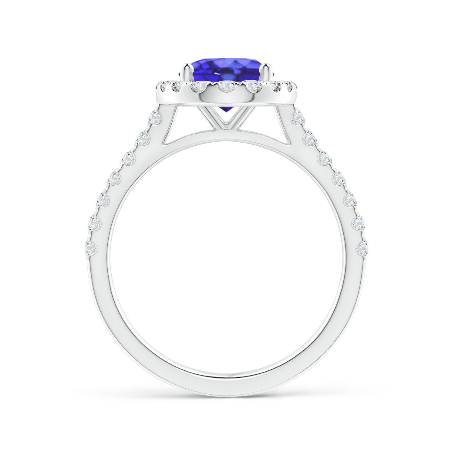 AA - Tanzanite / 2.35 CT / 14 KT White Gold