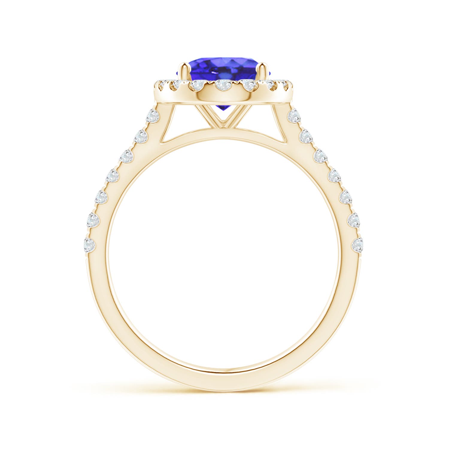 AA - Tanzanite / 2.35 CT / 14 KT Yellow Gold