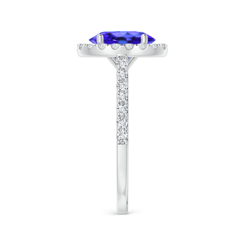 9x7mm AAA Oval Tanzanite Halo Ring with Diamond Accents in White Gold side-2