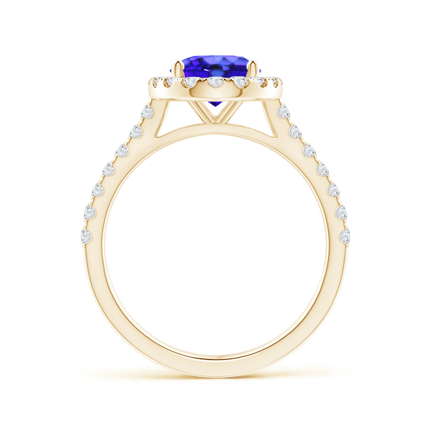 AAA - Tanzanite / 2.35 CT / 14 KT Yellow Gold