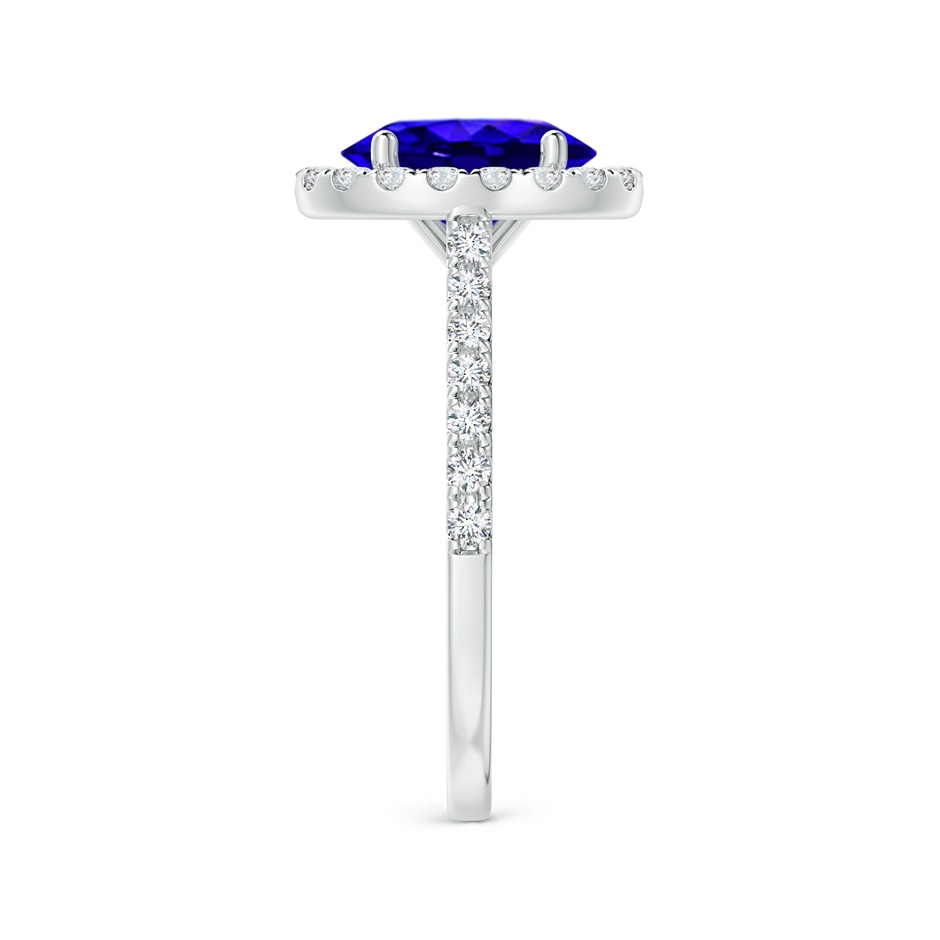 9x7mm AAAA Oval Tanzanite Halo Ring with Diamond Accents in White Gold side-2