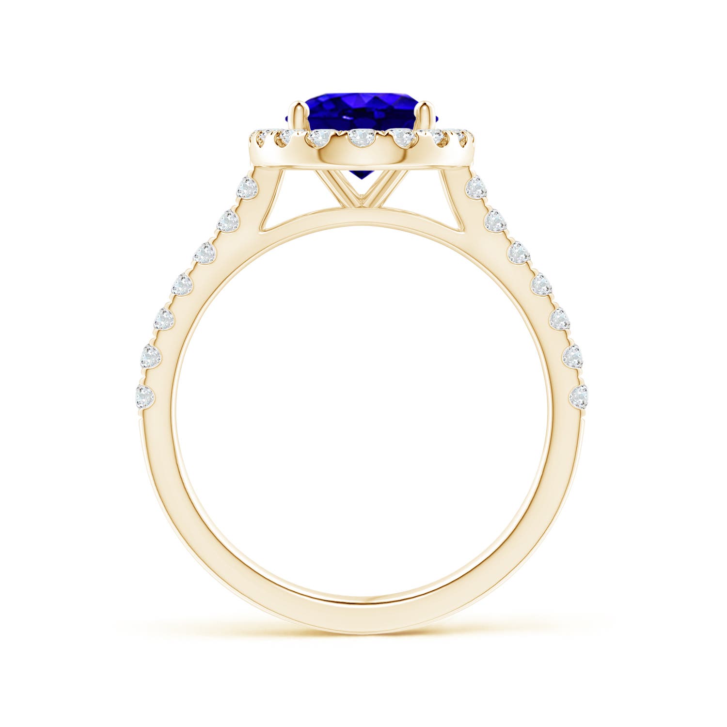 AAAA - Tanzanite / 2.35 CT / 14 KT Yellow Gold