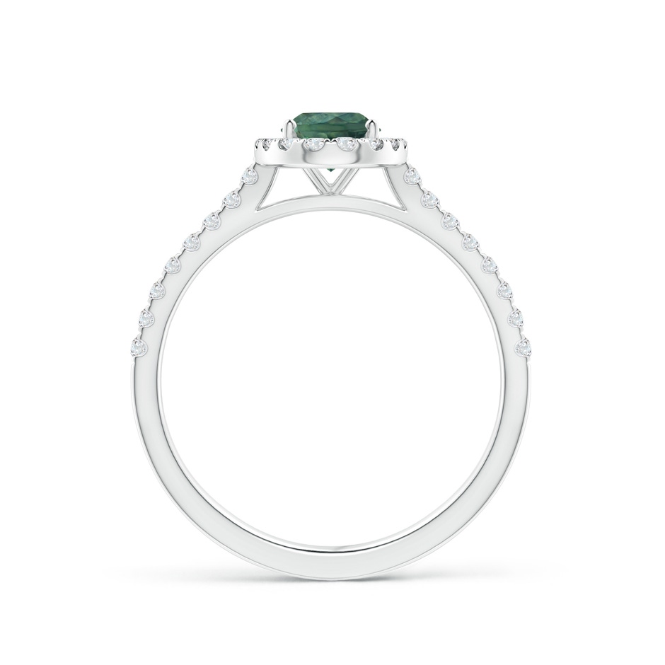 7x5mm AA Oval Teal Montana Sapphire Halo Ring with Diamond Accents in P950 Platinum side 1