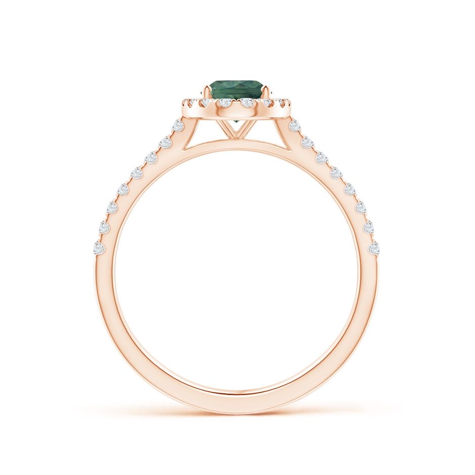 7x5mm AA Oval Teal Montana Sapphire Halo Ring with Diamond Accents in Rose Gold side 1