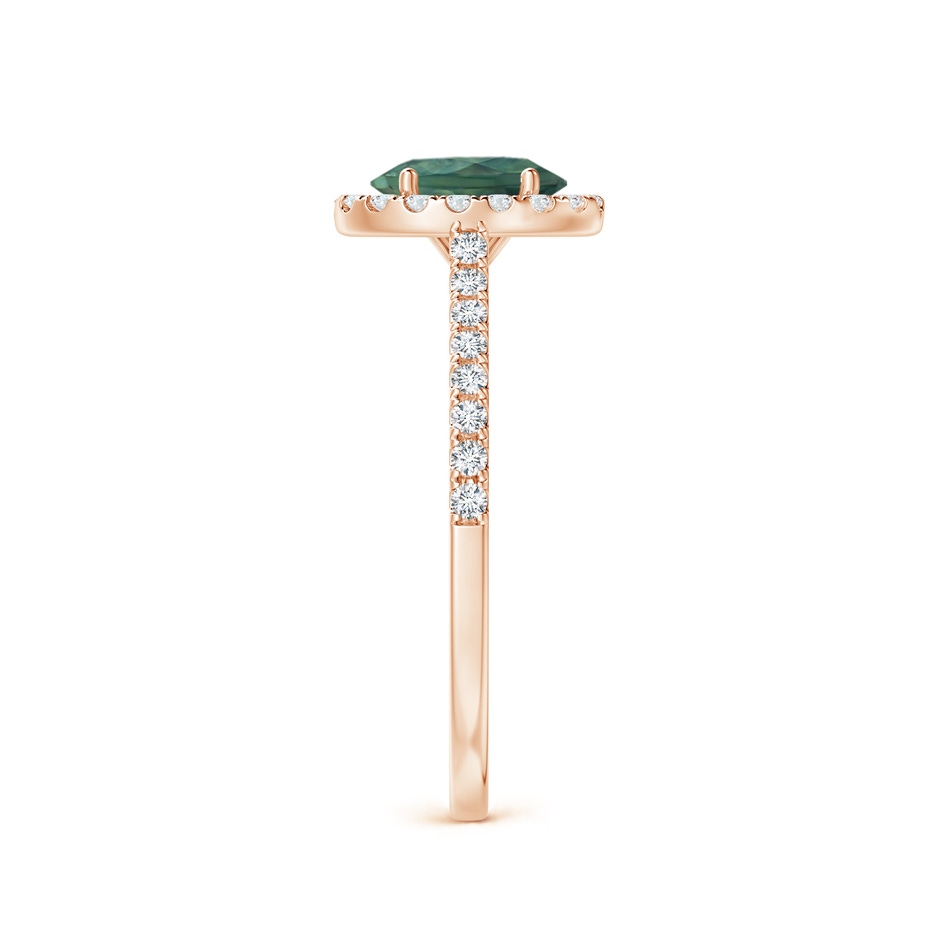 7x5mm AA Oval Teal Montana Sapphire Halo Ring with Diamond Accents in Rose Gold side 2