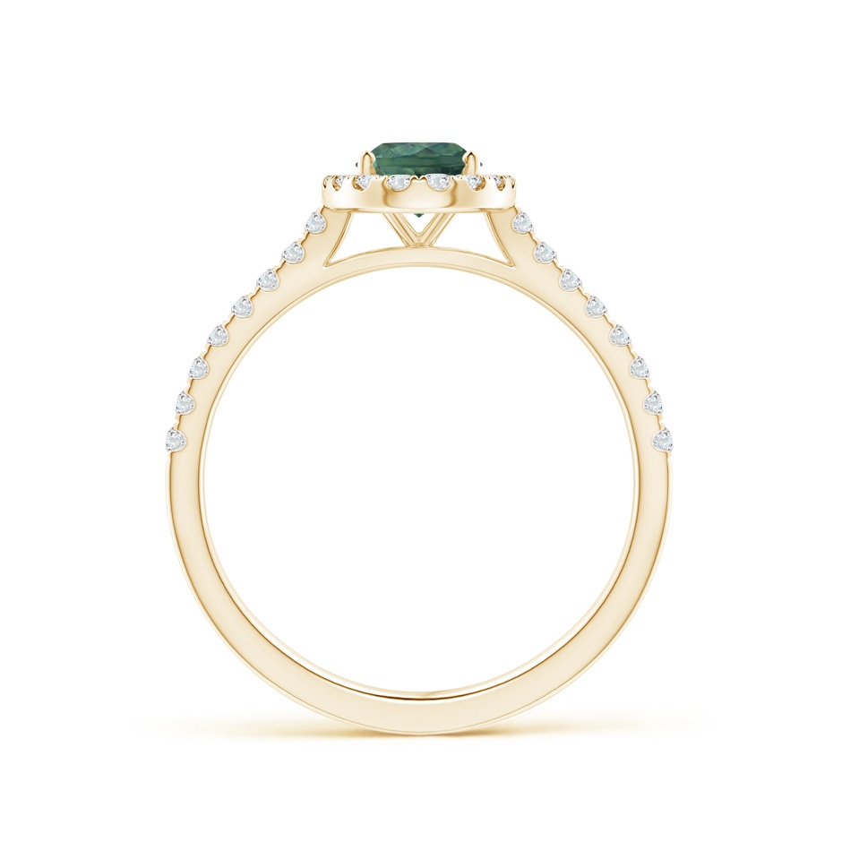 7x5mm AA Oval Teal Montana Sapphire Halo Ring with Diamond Accents in Yellow Gold side 1