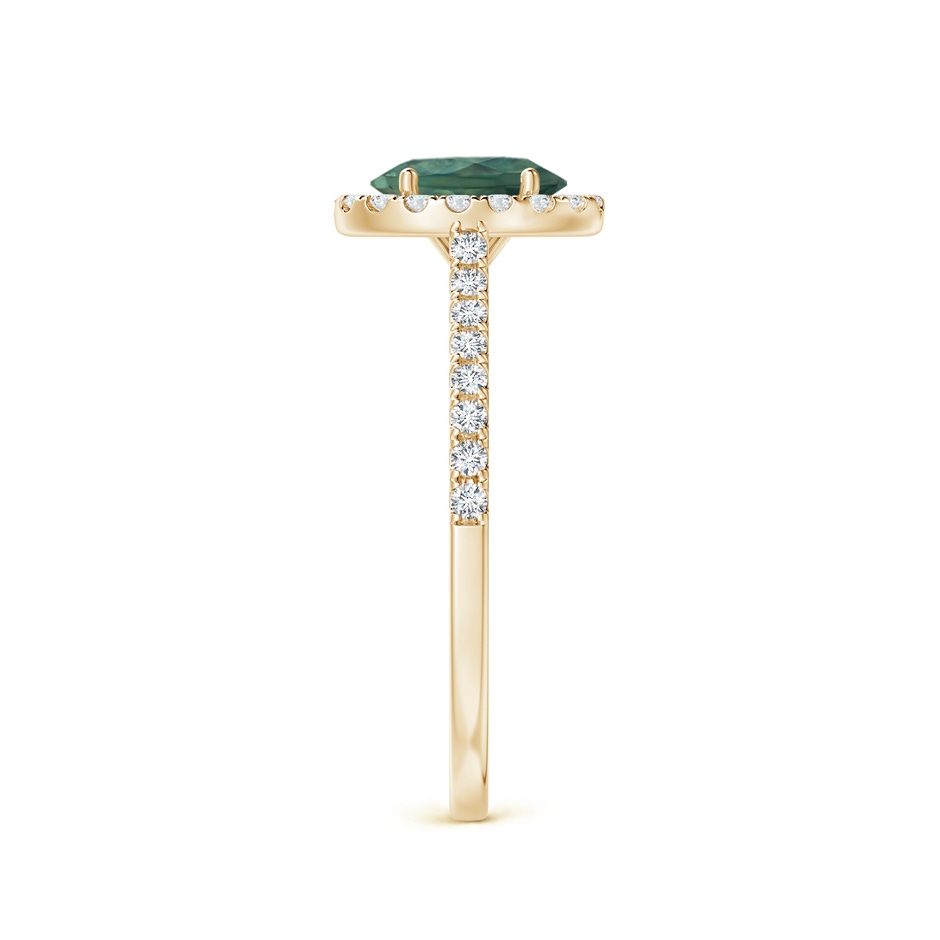 7x5mm AA Oval Teal Montana Sapphire Halo Ring with Diamond Accents in Yellow Gold side 2