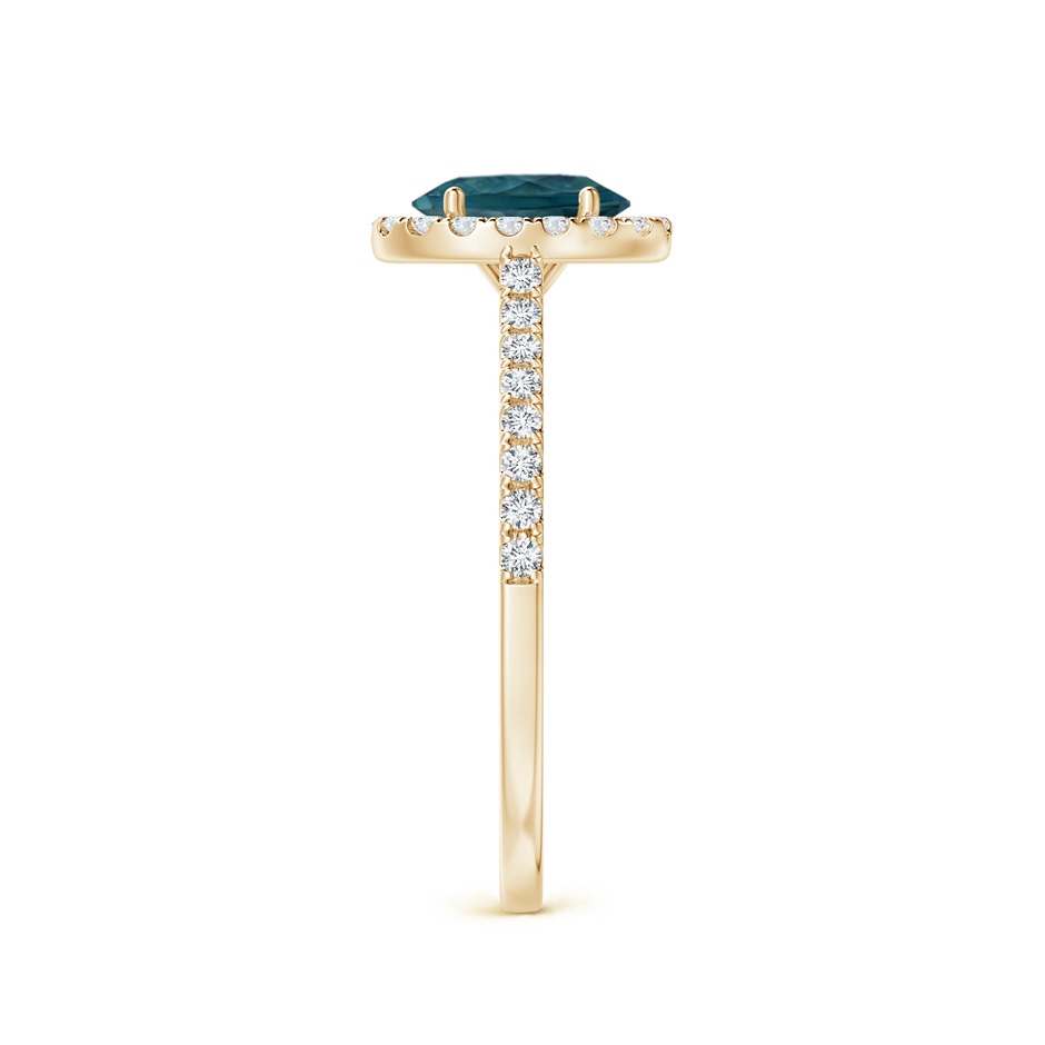 7x5mm AAA Oval Teal Montana Sapphire Halo Ring with Diamond Accents in 9K Yellow Gold side 2