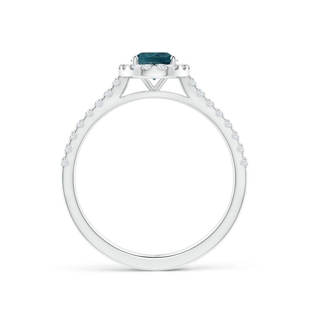 7x5mm AAA Oval Teal Montana Sapphire Halo Ring with Diamond Accents in P950 Platinum Side 1