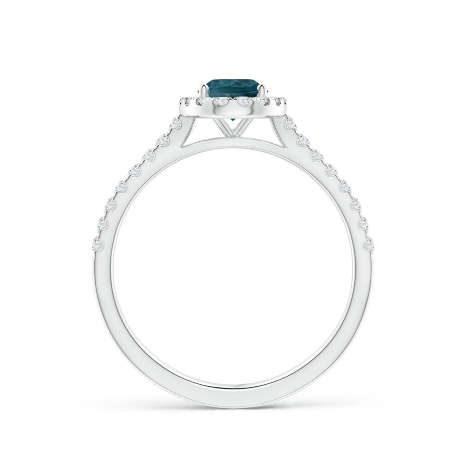 7x5mm AAA Oval Teal Montana Sapphire Halo Ring with Diamond Accents in P950 Platinum side 1