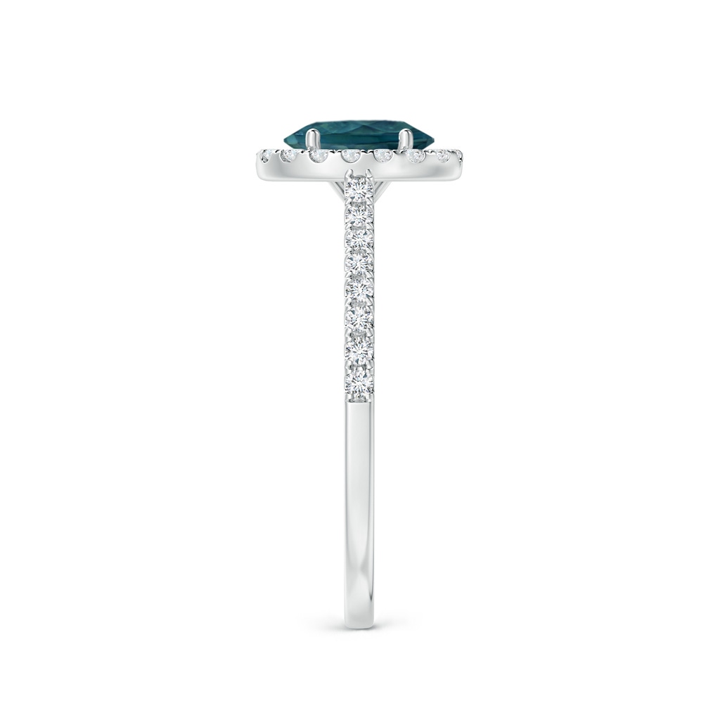 7x5mm AAA Oval Teal Montana Sapphire Halo Ring with Diamond Accents in P950 Platinum Side 2