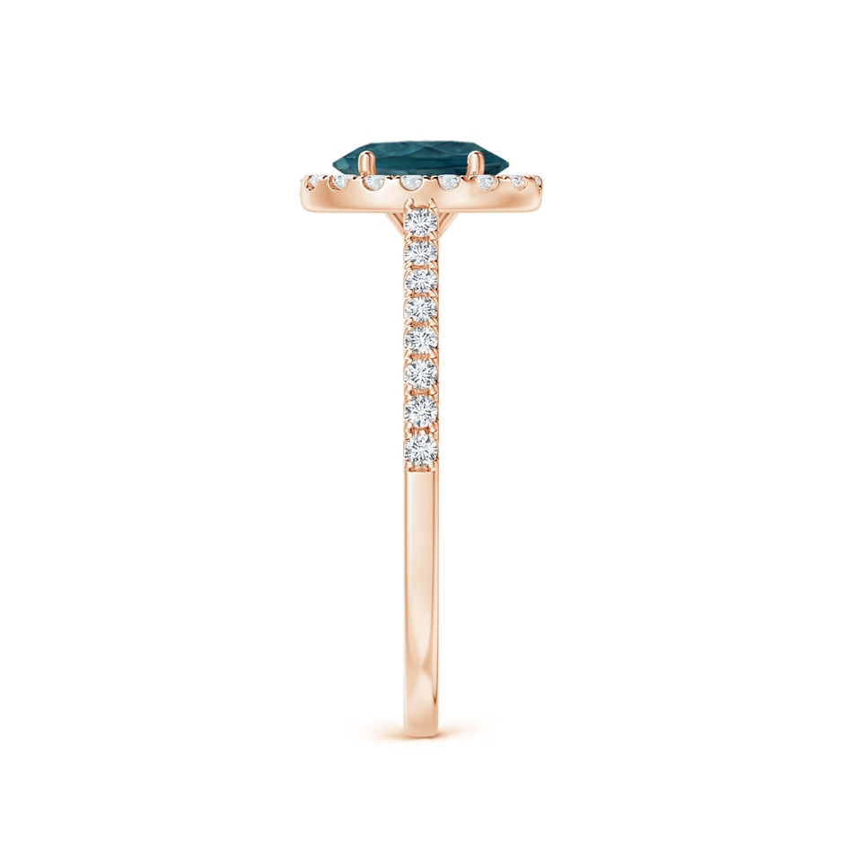 7x5mm AAA Oval Teal Montana Sapphire Halo Ring with Diamond Accents in Rose Gold side 2