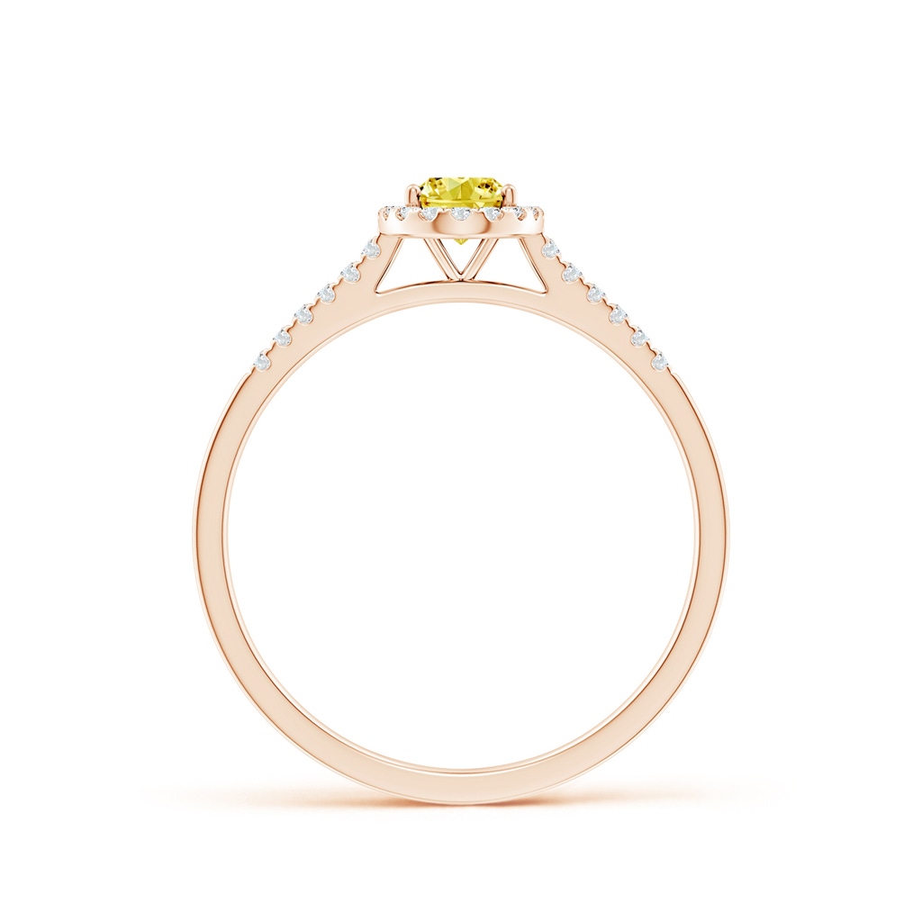 6x4mm AAAA Oval Fancy Intense Yellow Diamond Halo Ring in Rose Gold - side 199