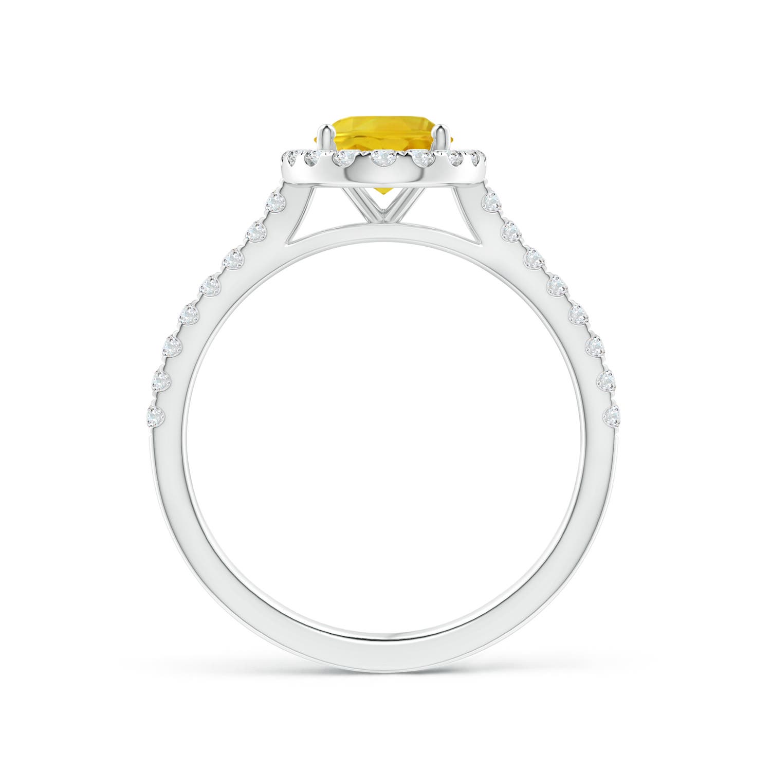 AAA - Yellow Sapphire / 1.84 CT / 14 KT White Gold