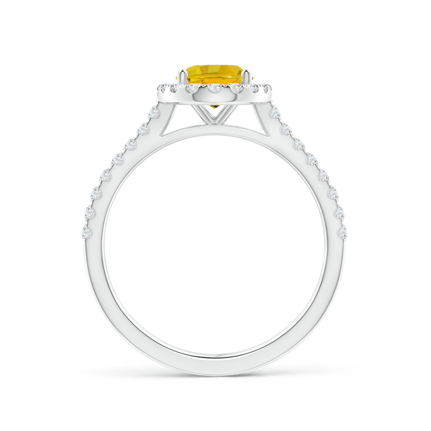 AAAA - Yellow Sapphire / 1.84 CT / 14 KT White Gold