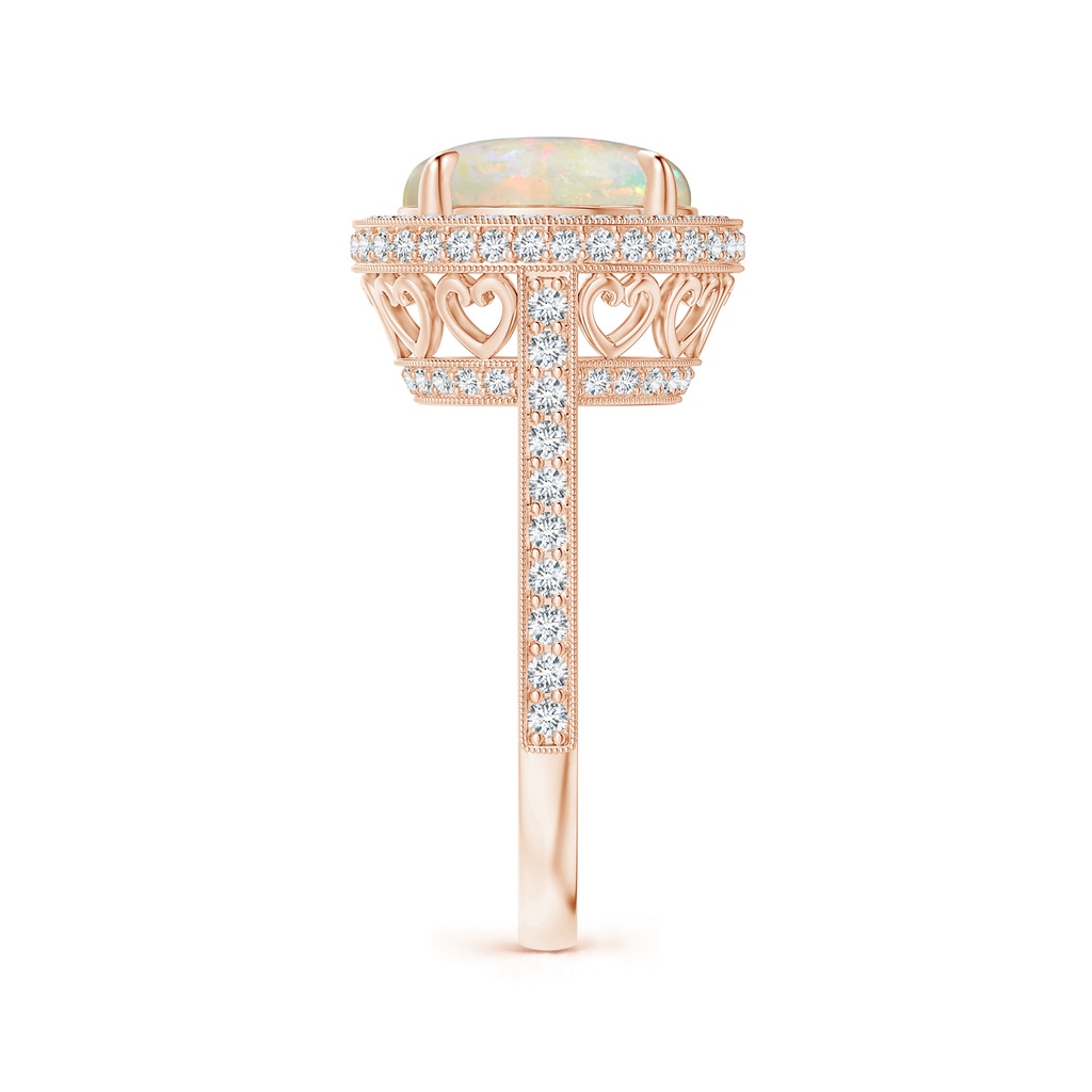 10mm AAAA Cathedral Style Opal Cocktail Halo Ring with Milgrain in Rose Gold Side 2