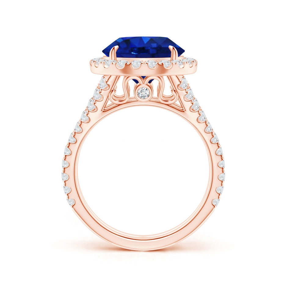 11.80-12.00x5.62mm AAA Round GIA Certified Ceylon Sapphire Split Shank Ring in 18K Rose Gold product image