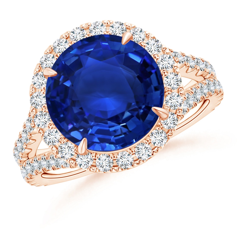 11.80-12.00x5.62mm AAA Round GIA Certified Ceylon Sapphire Split Shank Ring in Rose Gold 