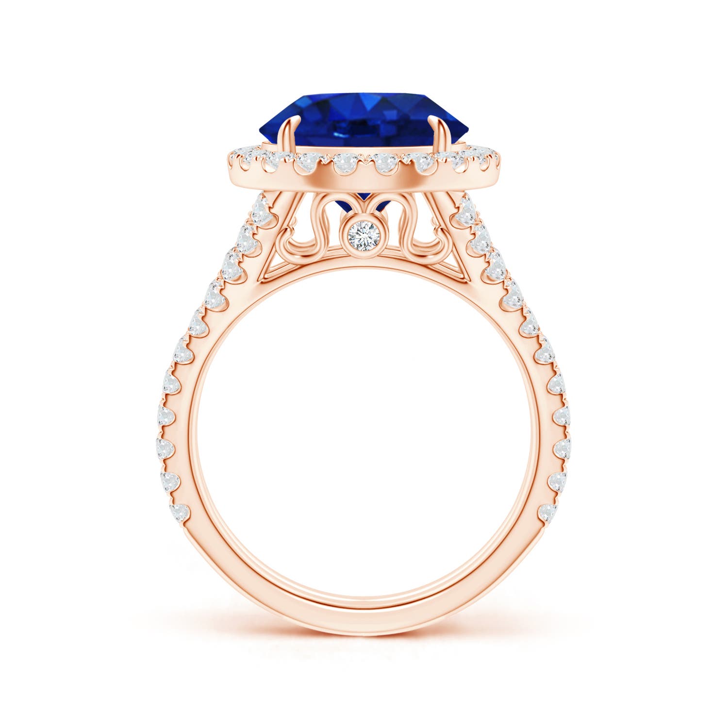 11.80-12.00x5.62mm AAA Round GIA Certified Ceylon Sapphire Split Shank Ring in Rose Gold - side 1