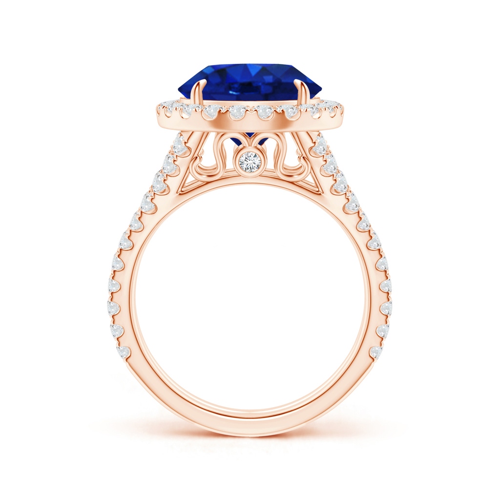 11.80-12.00x5.62mm AAA Round GIA Certified Ceylon Sapphire Split Shank Ring in Rose Gold Product Image