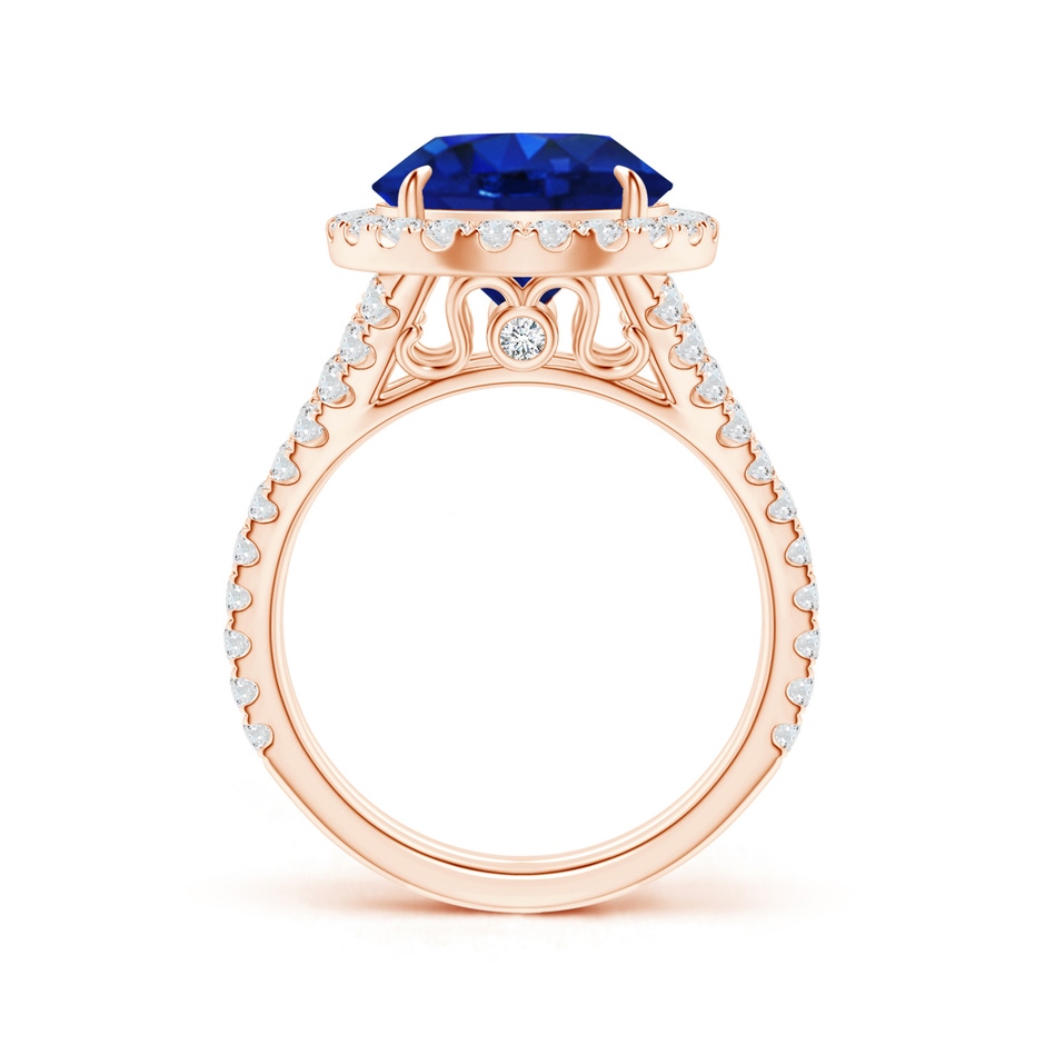 11.80-12.00x5.62mm AAA Round GIA Certified Ceylon Sapphire Split Shank Ring in Rose Gold product image