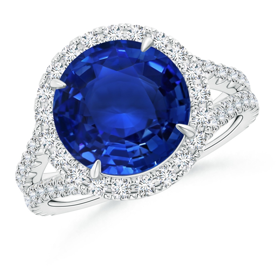 11.80-12.00x5.62mm AAA Round GIA Certified Ceylon Sapphire Split Shank Ring in White Gold 