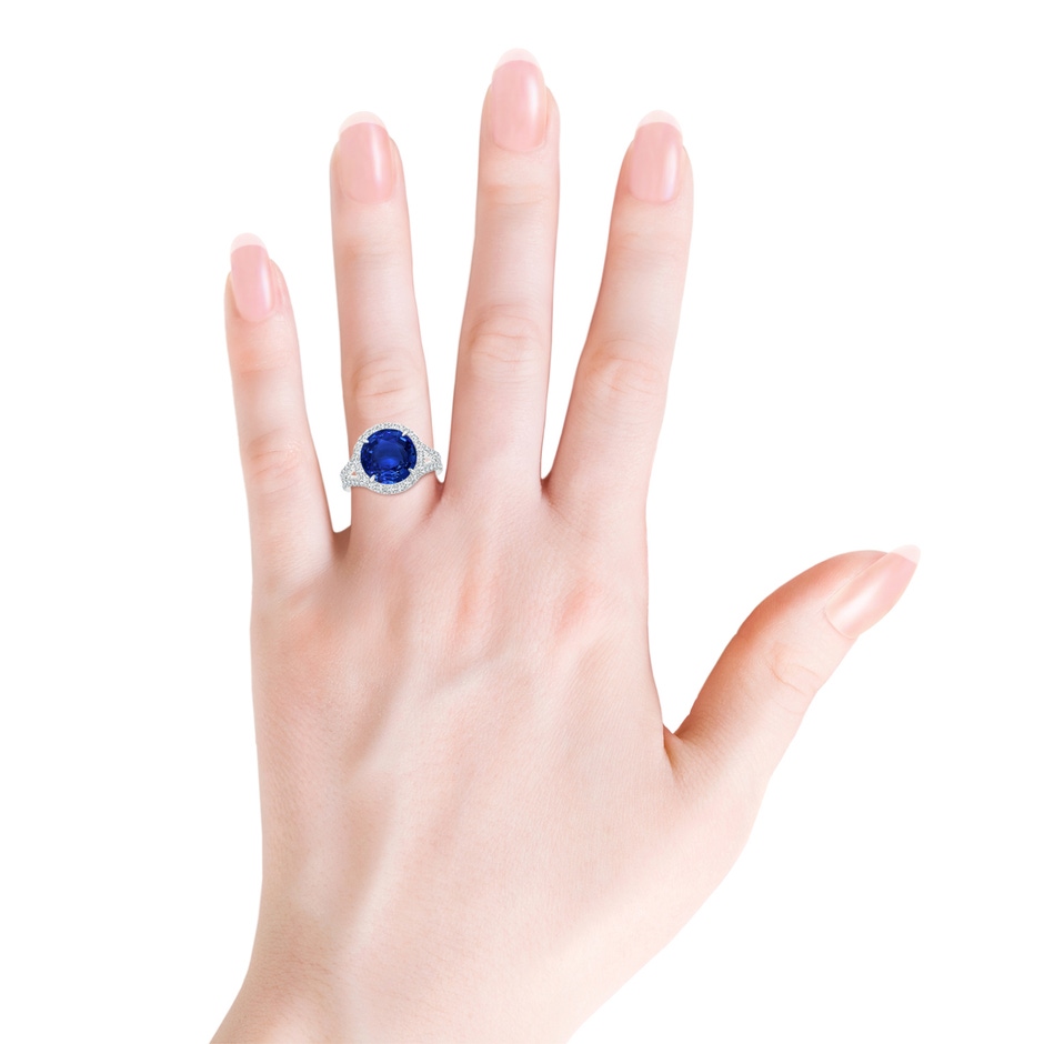 11.80-12.00x5.62mm AAA Round GIA Certified Ceylon Sapphire Split Shank Ring in White Gold product image