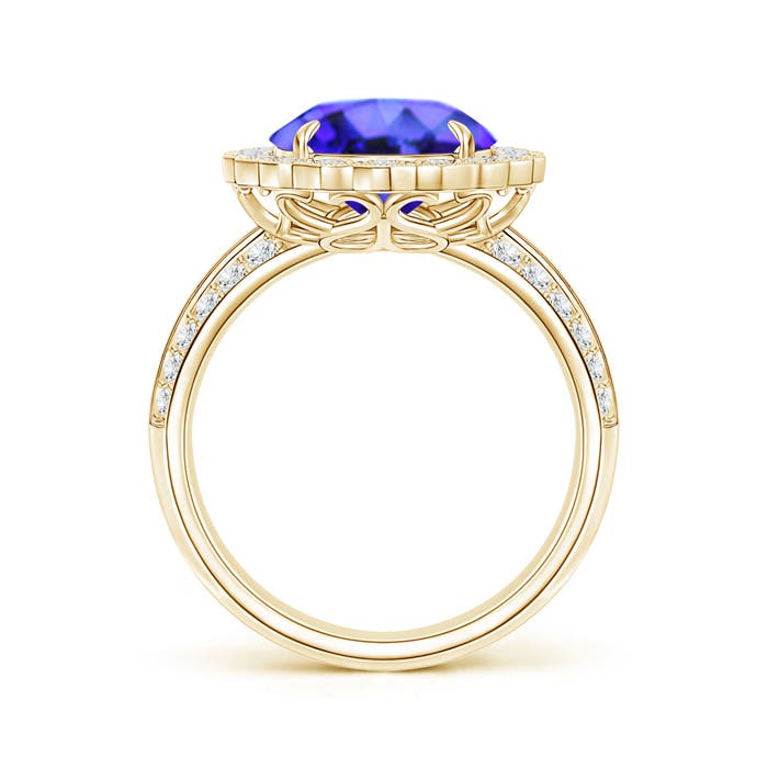 AAA - Tanzanite / 5.4 CT / 14 KT Yellow Gold