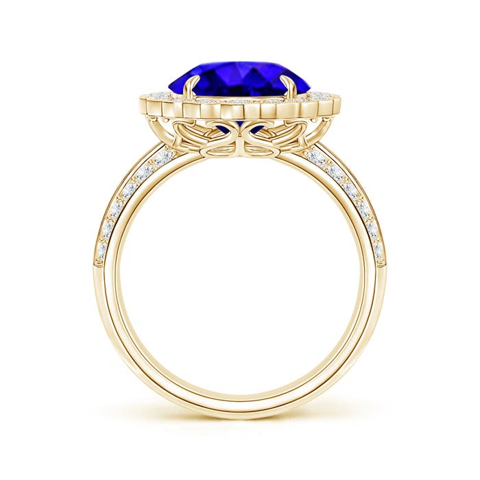 AAAA - Tanzanite / 5.4 CT / 14 KT Yellow Gold