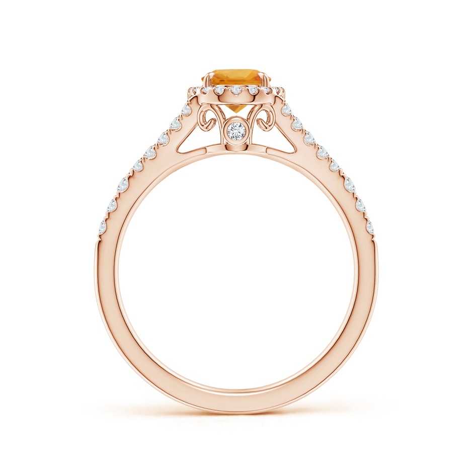 7x5mm A Claw-Set Oval Orange Sapphire Split Shank Halo Ring in Rose Gold side 1