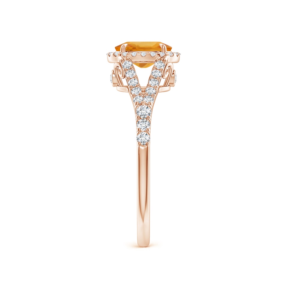 7x5mm A Claw-Set Oval Orange Sapphire Split Shank Halo Ring in Rose Gold side 2