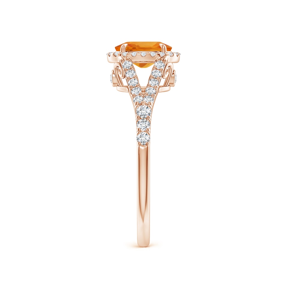 7x5mm AA Claw-Set Oval Orange Sapphire Split Shank Halo Ring in Rose Gold side 2