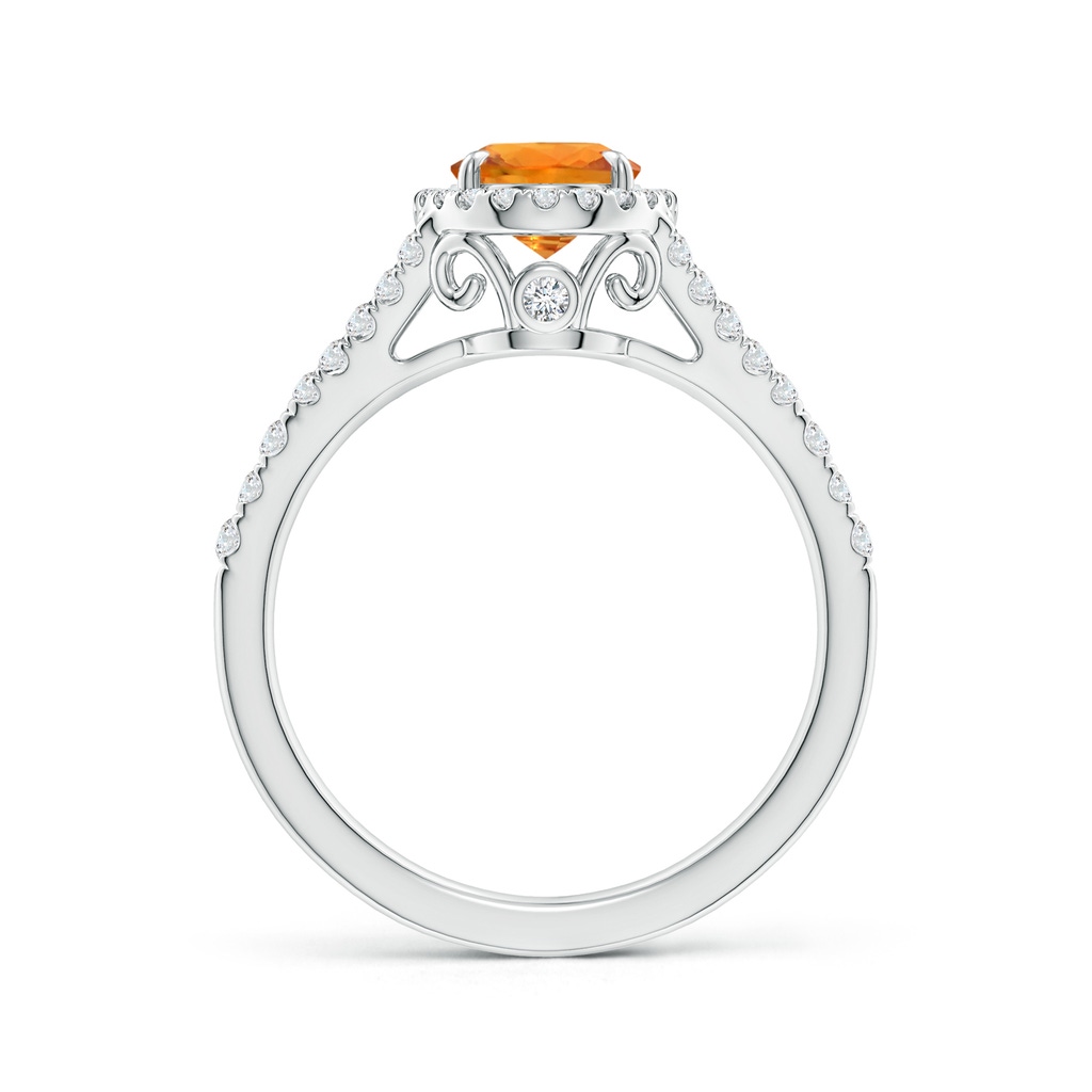 8x6mm AAA Claw-Set Oval Orange Sapphire Split Shank Halo Ring in White Gold Side 1