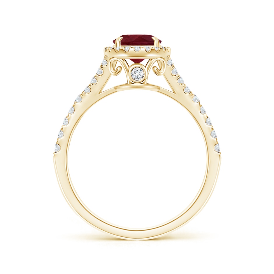 8.97x6.95x3.69mm AA Claw-Set GIA Certified Oval Ruby Split Shank Halo Ring in Yellow Gold side 199