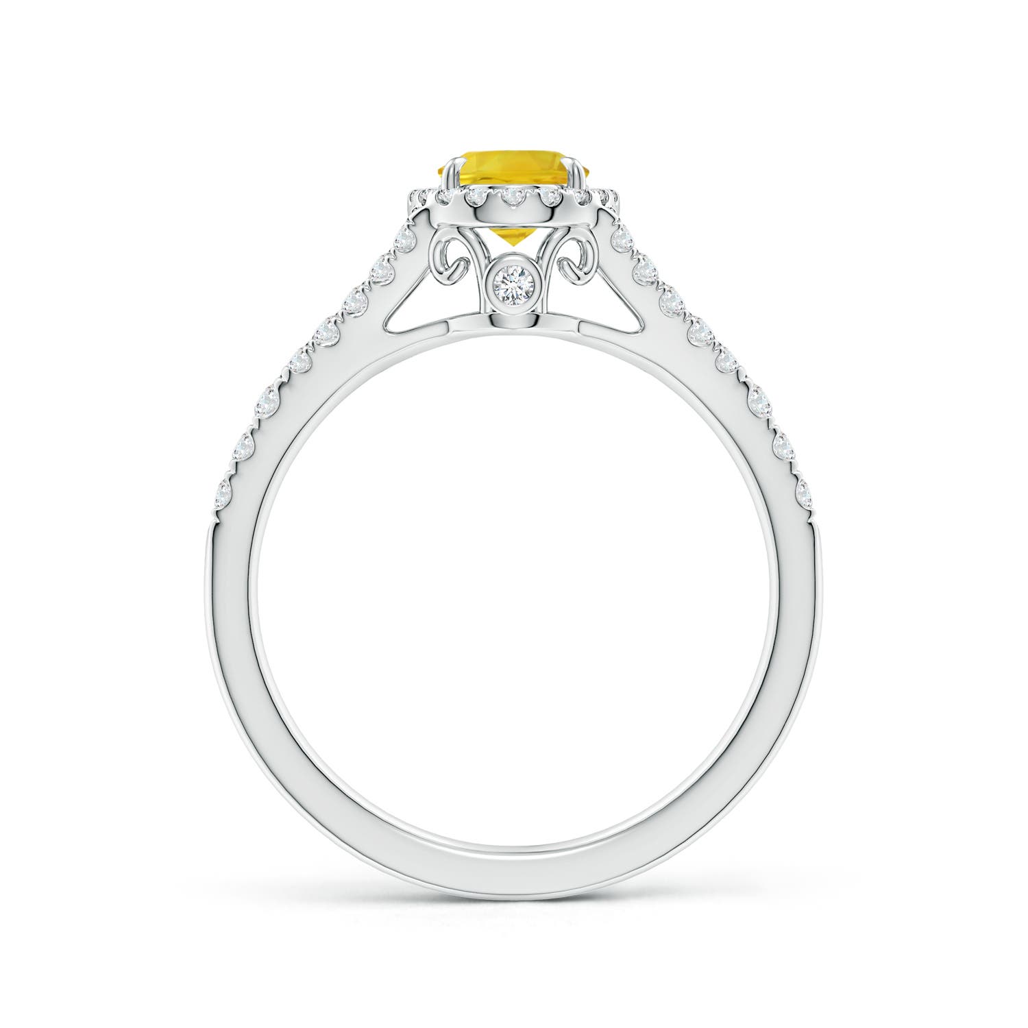 AAA - Yellow Sapphire / 1.41 CT / 14 KT White Gold