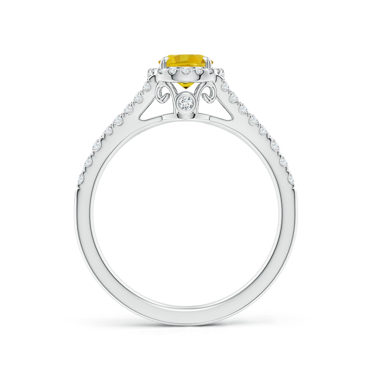 AAAA - Yellow Sapphire / 1.41 CT / 14 KT White Gold