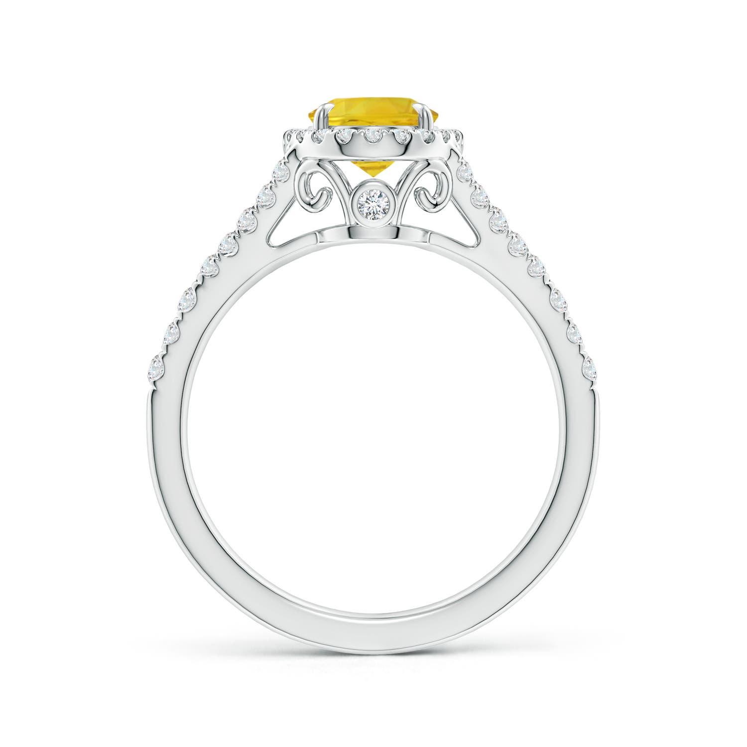 AAA - Yellow Sapphire / 1.92 CT / 14 KT White Gold